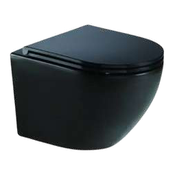 Black Fancy Wall Hung Toilet